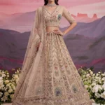 BNL1266 Designer Peacock Motif Wedding Lehenga Choli